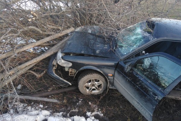 В Ижемском районе Saab улетел в кювет