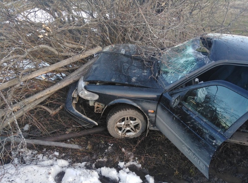 В Ижемском районе Saab улетел в кювет