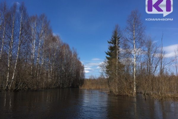 На поиски пропавшего в Прилузье дедушки отправят большую спасгруппу и две лодки