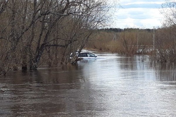 Паводок в Ухте: вода уходит, но ее уровень по-прежнему выше критического