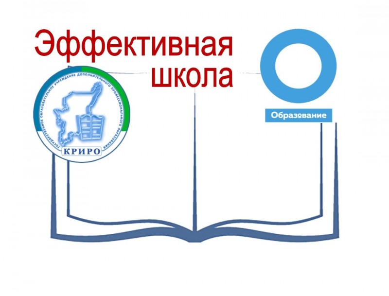 Педагоги Коми обменяются опытом с коллегами из США и Армении