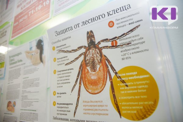 В Коми клещи за неделю покусали 258 человек