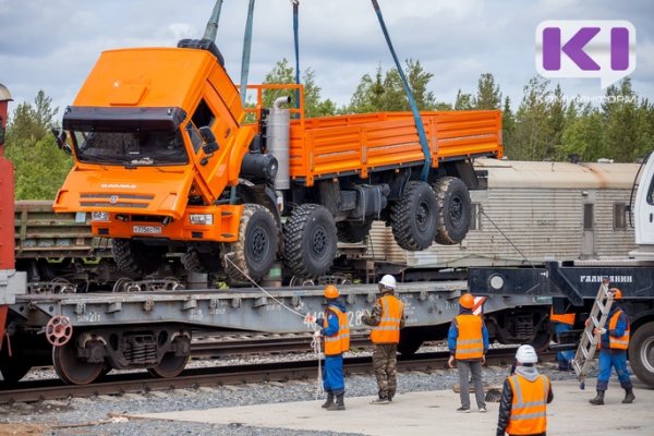 В Сыктывкаре арестовали похитителя лесозаготовительной техники на 1,7 млн рублей