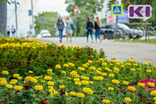 Первый месяц лета порадует жителей Коми теплом
