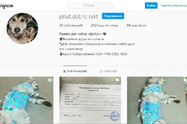 Фейковый приют для животных 