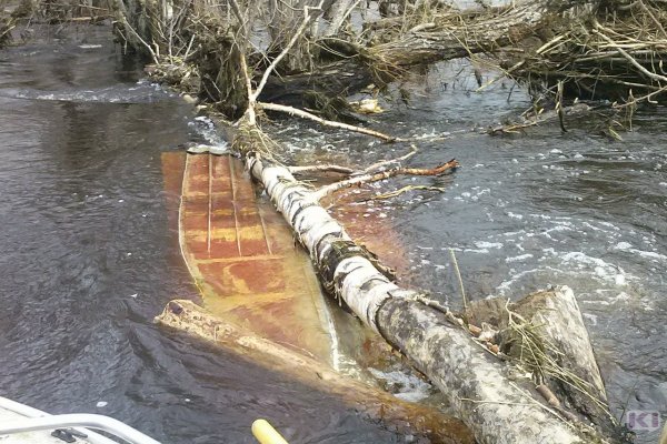 В Сосногорском районе найдено тело утонувшего 27-летнего мужчины