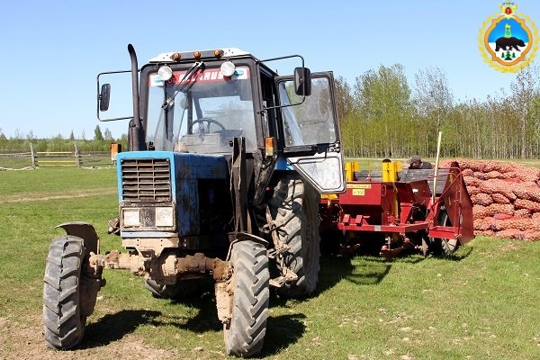 В колониях Коми в этом году вырастят около 235 тонн 