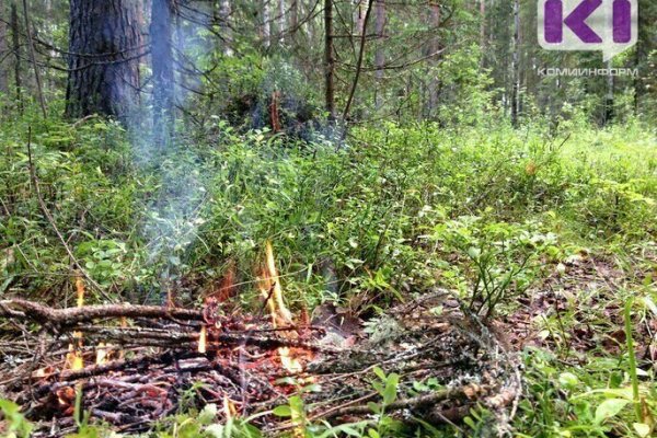 В пяти муниципалитетах Коми ожидается чрезвычайно высокая пожароопасность