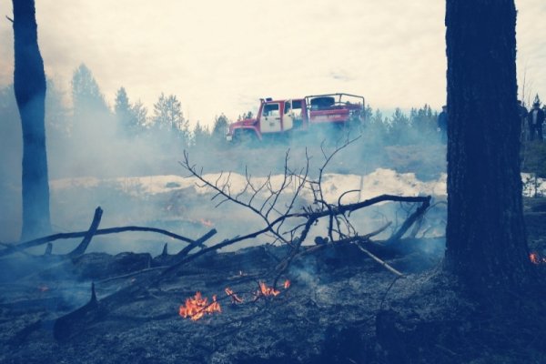 В Троицко-Печорском районе лесной пожар угрожал поселку 