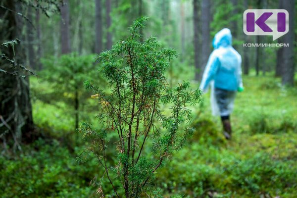 Ухтинские спасатели и полиция искали женщину, которая пропала после знакомства с двумя мужчинами