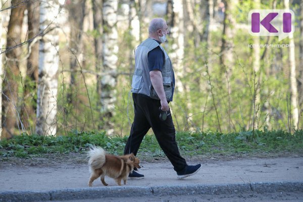 COVID-19 в городах и районах Коми: актуальные цифры на 15 июня
