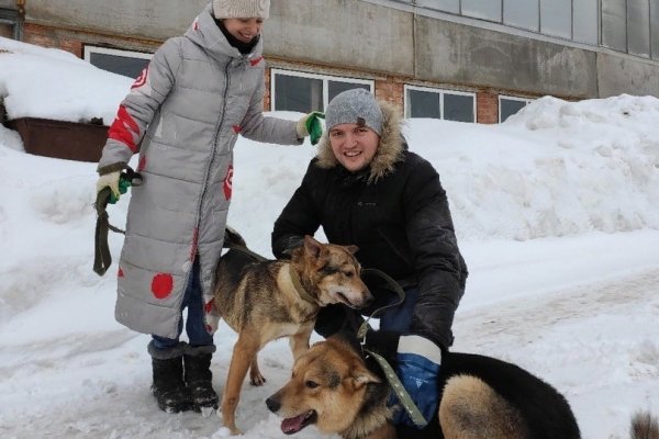 Проекты волонтеров Коми продолжают борьбу за победу в конкурсе 