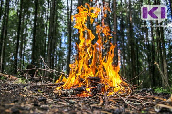 Виновный в возникновении лесного пожара в Коми привлечён к уголовной ответственности

