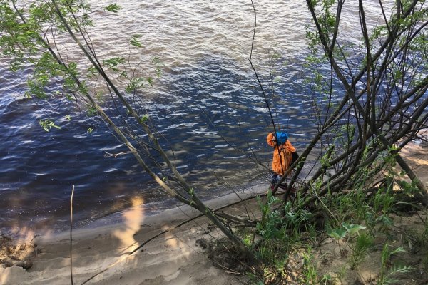 К поискам ребенка в Сторожевске подключились волонтеры из других муниципалитетов 