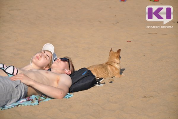 В Сыктывкаре аукцион на обустройство пляжа выиграла организация 