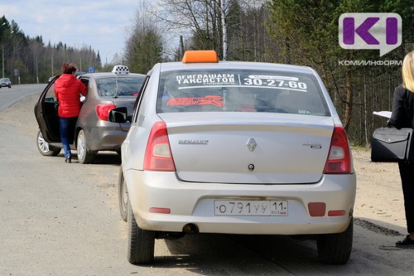 Молодая сыктывкарка освобождена от наказания за кражу 