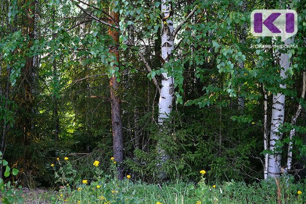 На лыжной базе в Ухте заблудились велосипедисты 