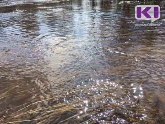 В районе Ленькового озера в Печоре обнаружено тело мужчины 