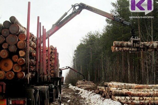 В Прилузском районе возбуждено уголовное дело о незаконной рубке леса