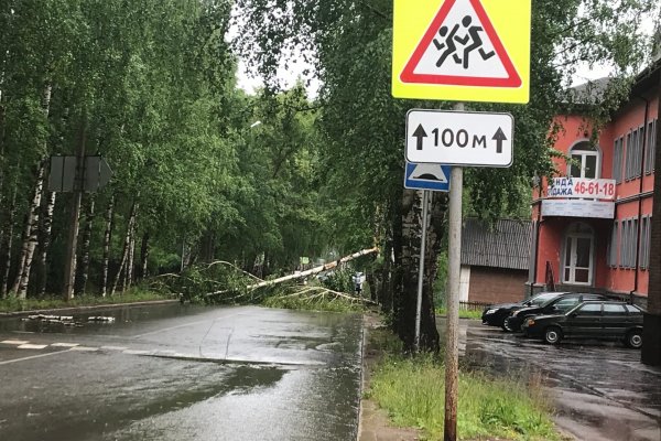 В Сыктывкаре на ул.Южной дерево упало на дорогу и повредило провода