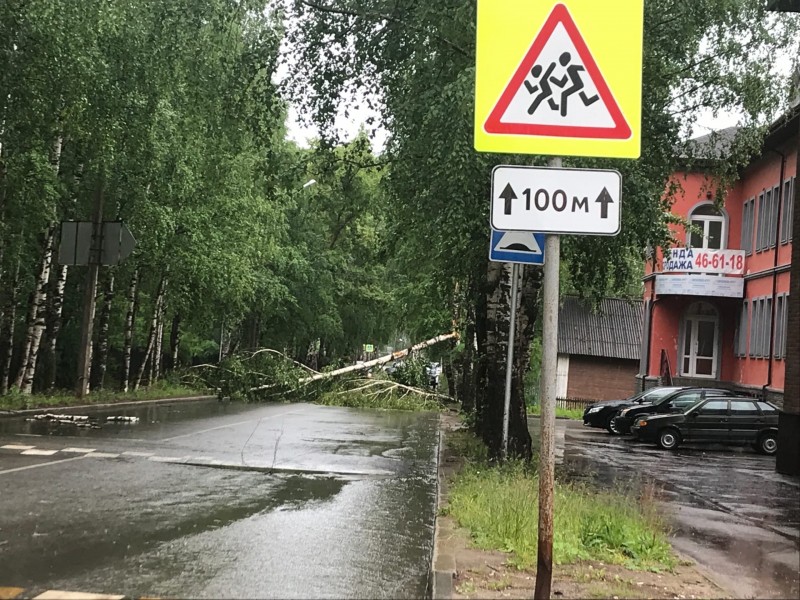 В Сыктывкаре на ул.Южной дерево упало на дорогу и повредило провода