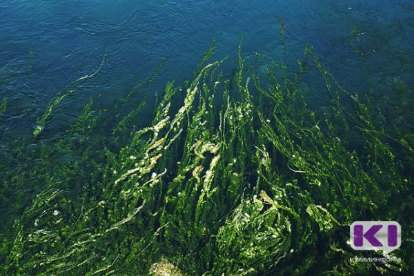 На Кажымском водохранилище утонул мужчина