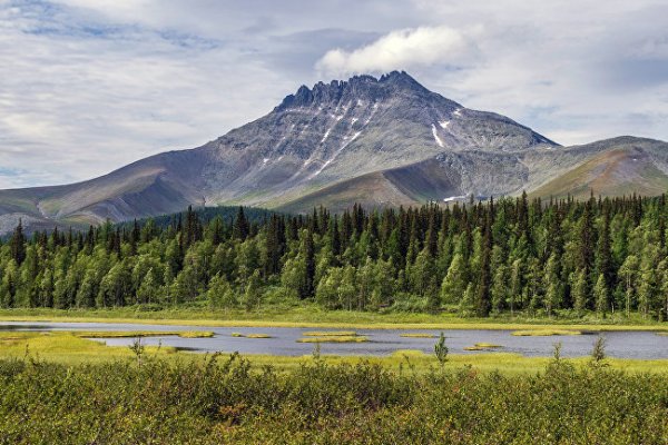 Первую виртуальную выставку 