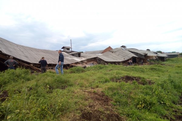 В ижемской деревне Варыш под завалами старого здания едва не погибли коровы