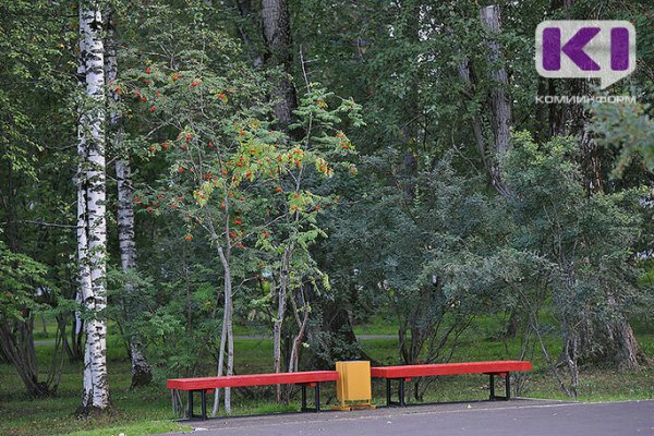 Сыктывкарские спасатели выезжали на поиски улетевшего попугая