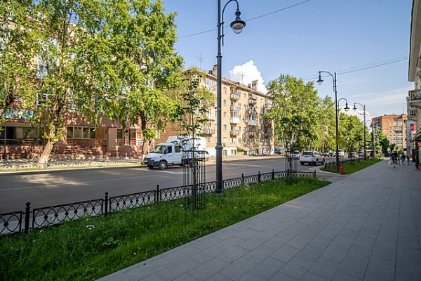 Сыктывкарцы проголосовали за замену тополей возле Центрального бассейна