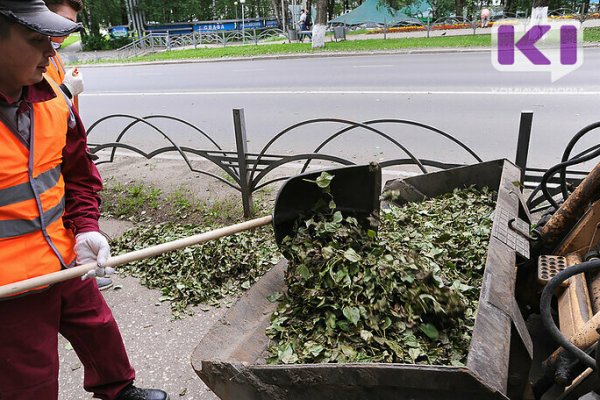 Школьники Эжвинского района смогут провести август в трудовом отряде 