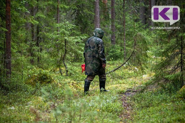 Интинец провел ночь в тундре, собирая морошку