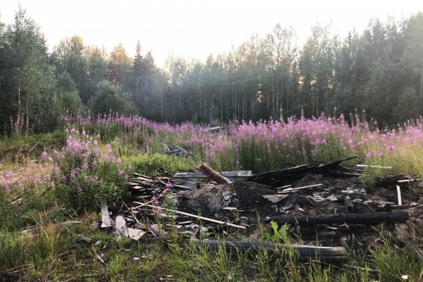 По иску прокурора Усть-Куломского района Минприроды Коми ликвидируют свалку в лесу 

