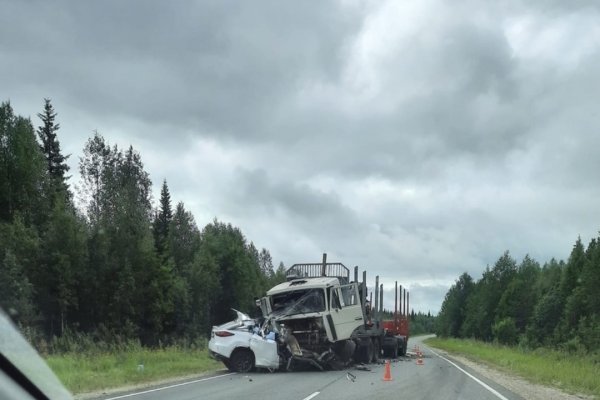 В Княжпогостском районе Lexus погибшего депутата вылетел на встречную полосу