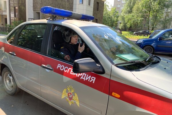 В Сыктывкаре росгвардейцы задержали молодых людей, которые похитили 37 пачек сыра

