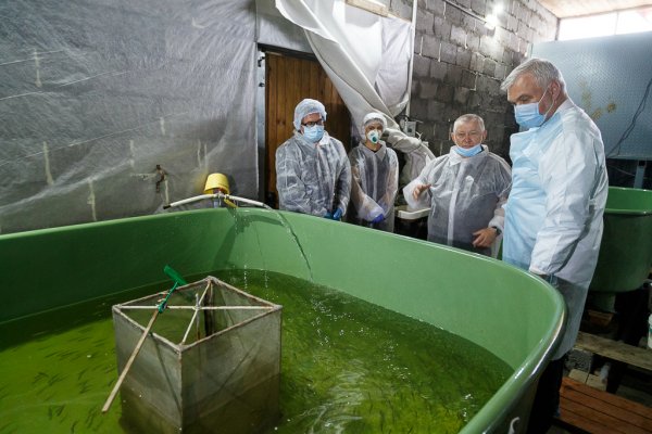 Владимир Уйба ознакомился с технологией воспроизводства мальков сига и хариуса в Кослане