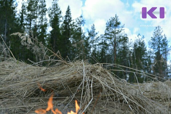 Сено, дача, жилой дом: в Коми за сутки произошло четыре пожара