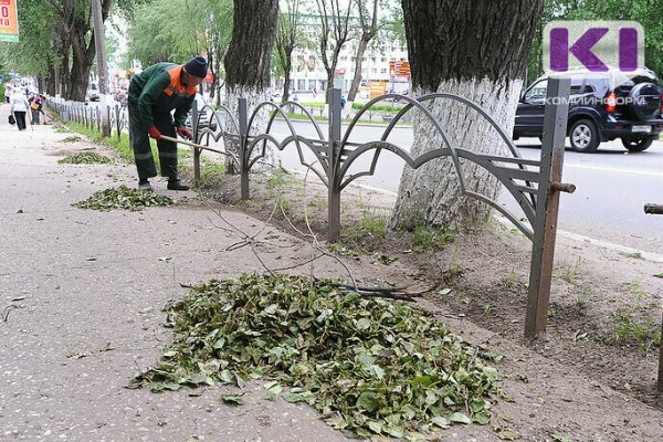 Где в Сыктывкаре вырубят деревья