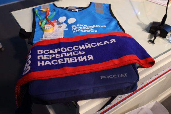 Почему Всероссийская перепись населения-2020 станет уникальной

