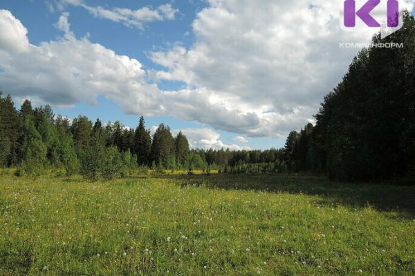 В д. Горьковская спасатели, жители и родственники три дня искали пропавшего человека