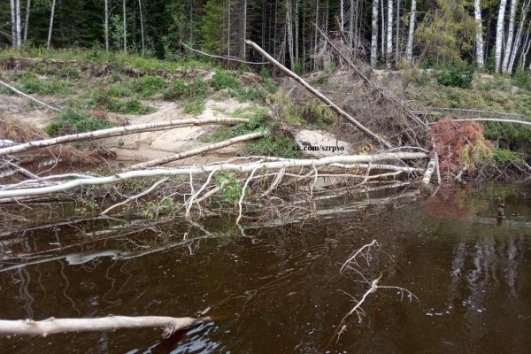 В Корткеросе уже второй месяц ведутся поиски пропавшего на воде ребенка 