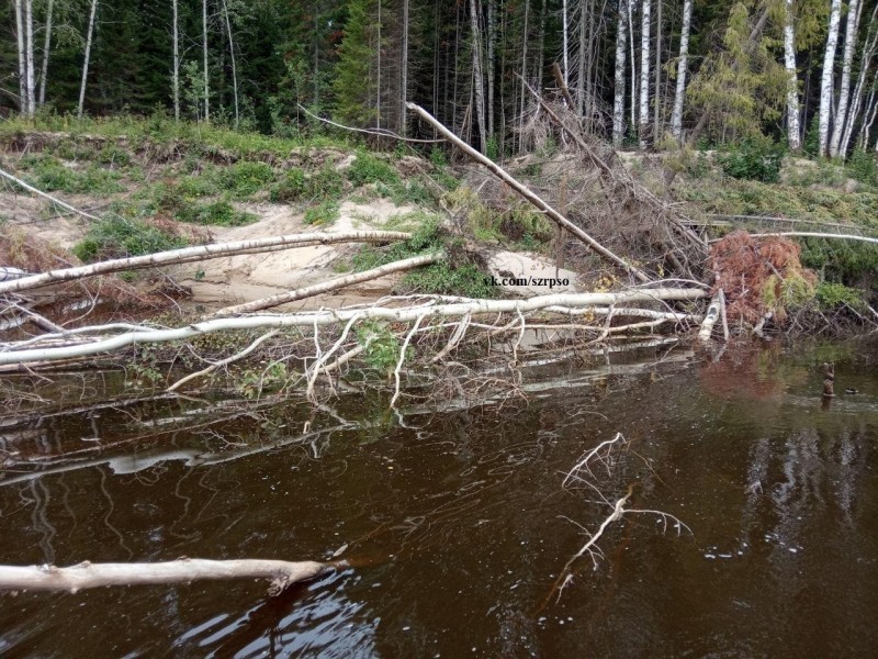 В Корткеросе уже второй месяц ведутся поиски пропавшего на воде ребенка 