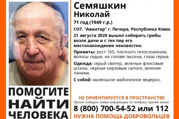 В Печоре четвертые сутки ищут пропавшего 71-летнего грибника 