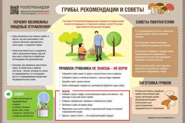 Как правильно выбирать и готовить грибы

 