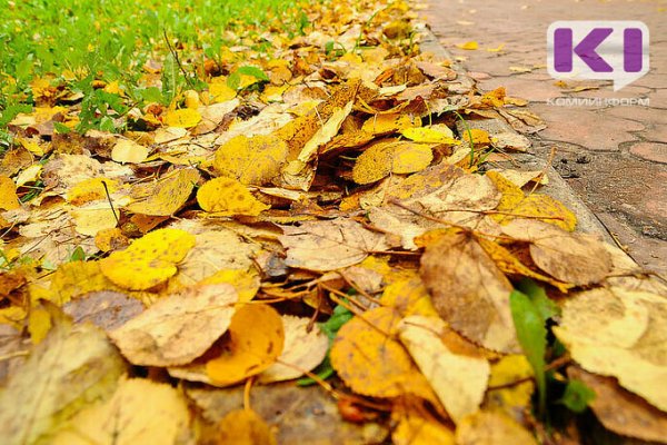 Врач посоветовала россиянам не гулять в парках осенью