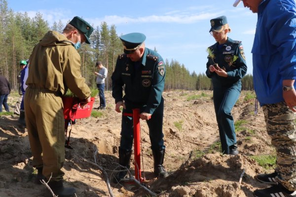 В Коми сотрудники МЧС высадили более сотни саженцев в память о погибших в годы Великой Отечественной войны