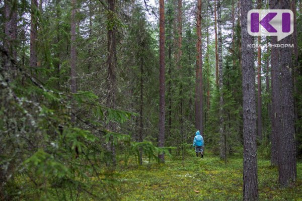 85-летняя жительница Коми мужественно пережила три ночи в лесу /подробности/