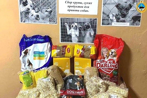 Сотрудники ухтинской ИК-29 передали продукты приюту для бездомных животных