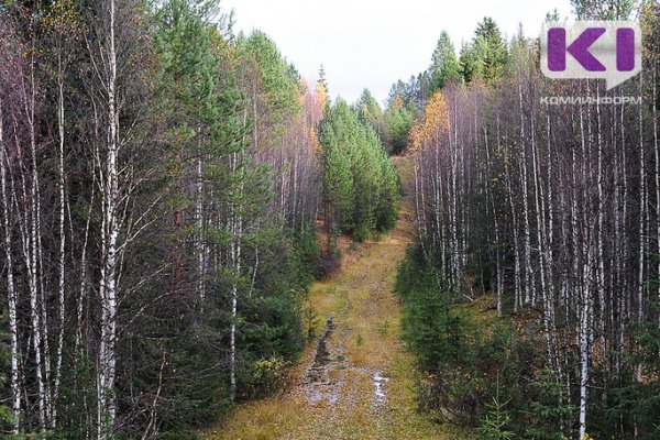 Сыктывкарский спасотряд 