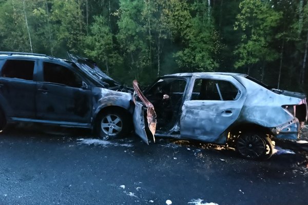 В Сысольском районе после лобового столкновение загорелись две иномарки, погиб начинающий водитель